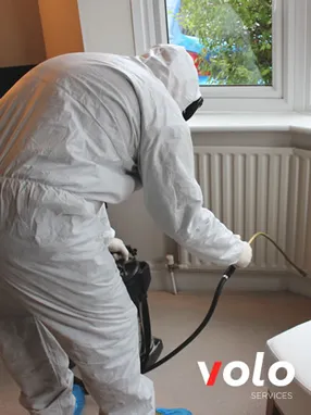 Pest Control Company London